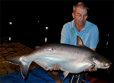 Record photograph for Helicophagus leptorhynchus